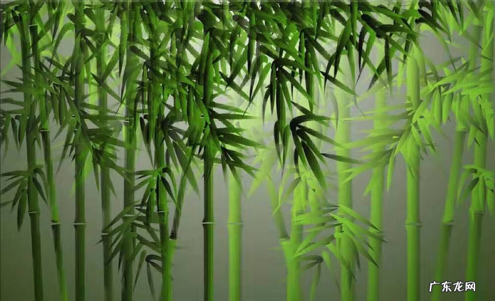 风水秘法 风水三步法