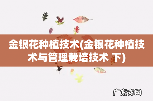 金银花种植技术与管理栽培技术 下 金银花种植技术