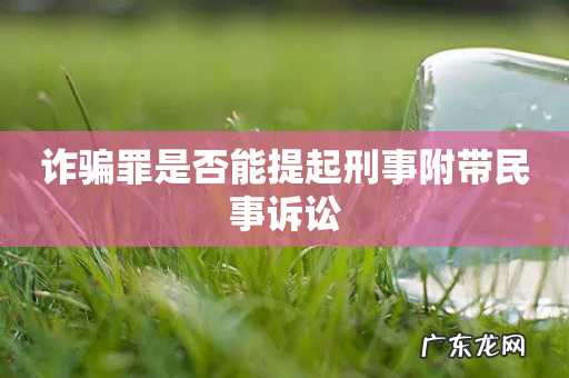 诈骗罪是否能提起刑事附带民事诉讼