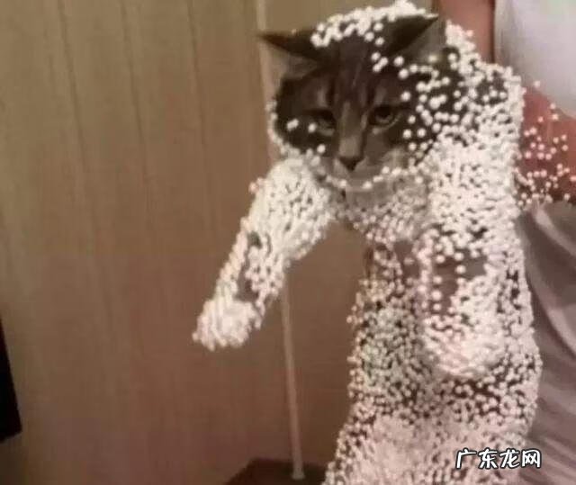 怎么样防止静电 如何防静电最有效的方法