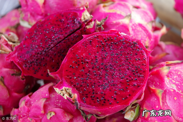 火龙果有哪些营养价值 火龙果 有什么营养