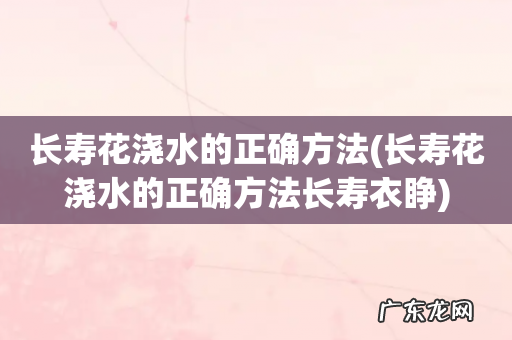 长寿花浇水的正确方法长寿衣睁 长寿花浇水的正确方法