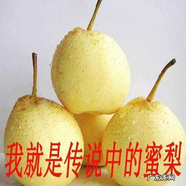 怎样找风水宝地 对风水宝地的赞美