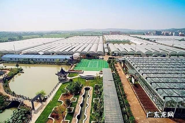 怎样找风水宝地 对风水宝地的赞美