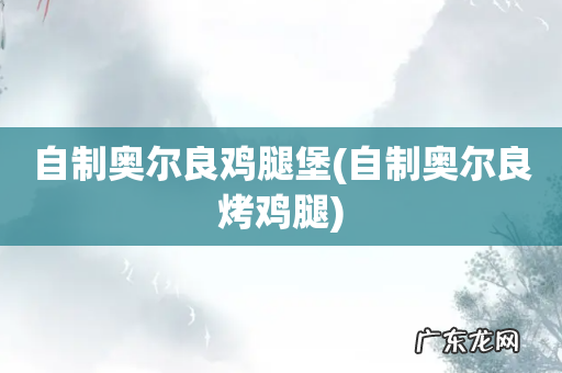 自制奥尔良烤鸡腿 自制奥尔良鸡腿堡