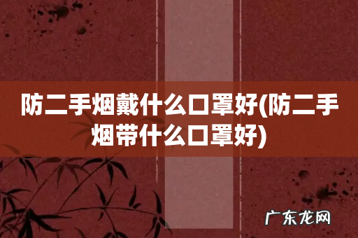 防二手烟带什么口罩好 防二手烟戴什么口罩好