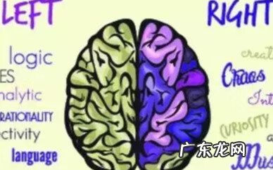 右脑开发课程 右脑开发怎么训练
