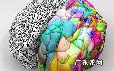 右脑开发课程 右脑开发怎么训练