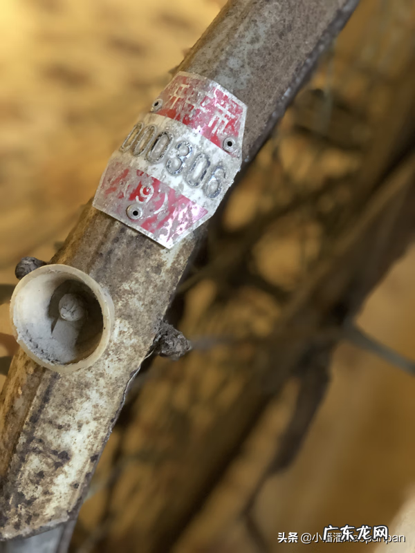 开平凤仪里碉楼的传说 开平凤仪里风水