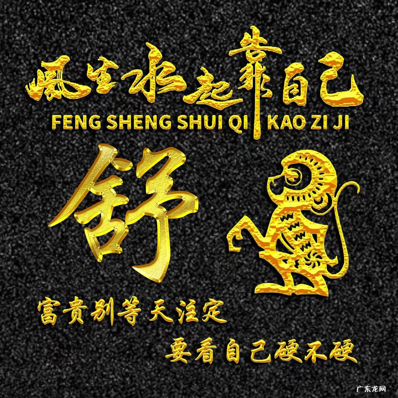 属猴的专属风景头像 属猴的风水头像