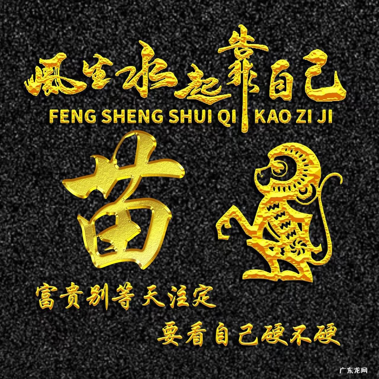 属猴的专属风景头像 属猴的风水头像