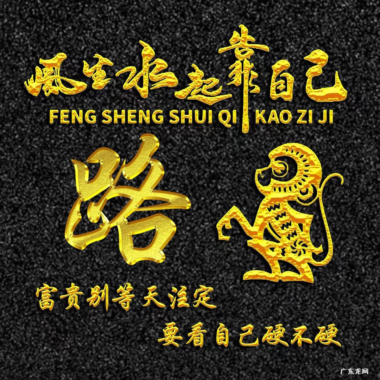 属猴的专属风景头像 属猴的风水头像