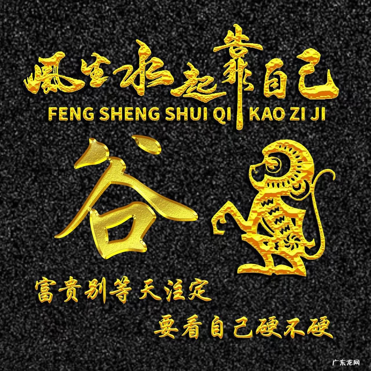 属猴的专属风景头像 属猴的风水头像