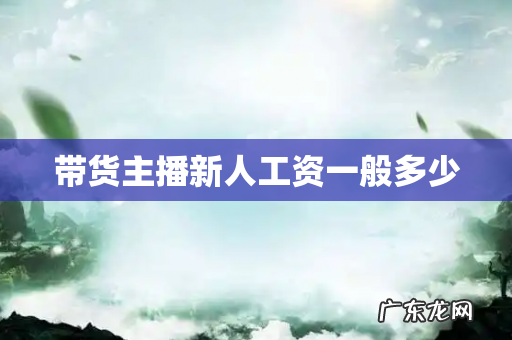 带货主播新人工资一般多少