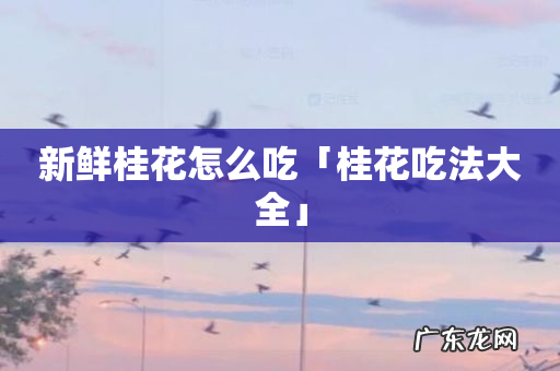 新鲜桂花怎么吃「桂花吃法大全」