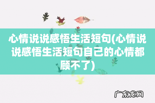 心情说说感悟生活短句自己的心情都顾不了 心情说说感悟生活短句