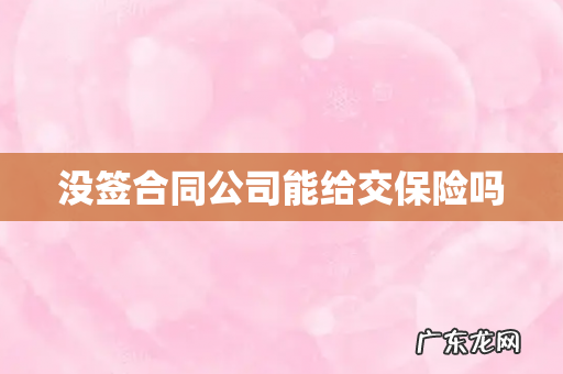 没签合同公司能给交保险吗