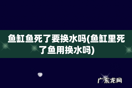 鱼缸里死了鱼用换水吗 鱼缸鱼死了要换水吗