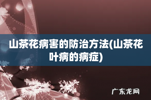 山茶花叶病的病症 山茶花病害的防治方法