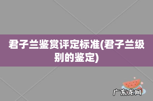 君子兰级别的鉴定 君子兰鉴赏评定标准