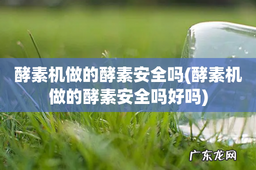 酵素机做的酵素安全吗好吗 酵素机做的酵素安全吗