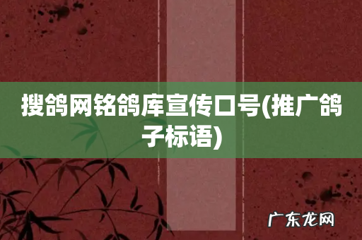 推广鸽子标语 搜鸽网铭鸽库宣传口号
