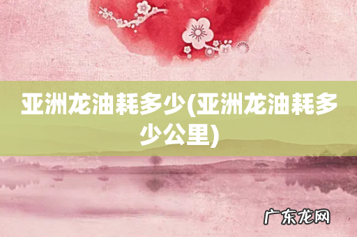 亚洲龙油耗多少公里 亚洲龙油耗多少