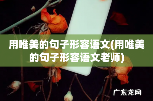 用唯美的句子形容语文老师 用唯美的句子形容语文