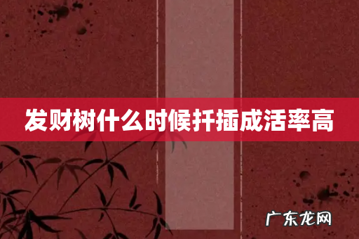 发财树什么时候扦插成活率高
