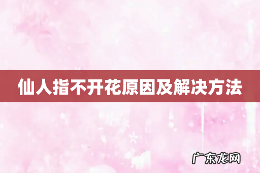 仙人指不开花原因及解决方法