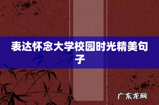 表达怀念大学校园时光精美句子