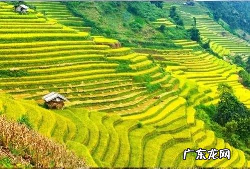 饶平四大风水宝地 肇兴侗寨风水宝地