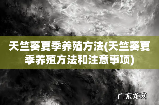 天竺葵夏季养殖方法和注意事项 天竺葵夏季养殖方法