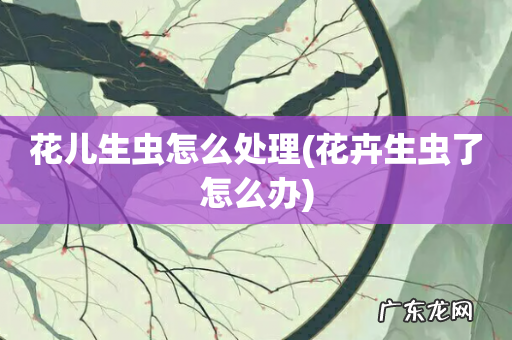 花卉生虫了怎么办 花儿生虫怎么处理