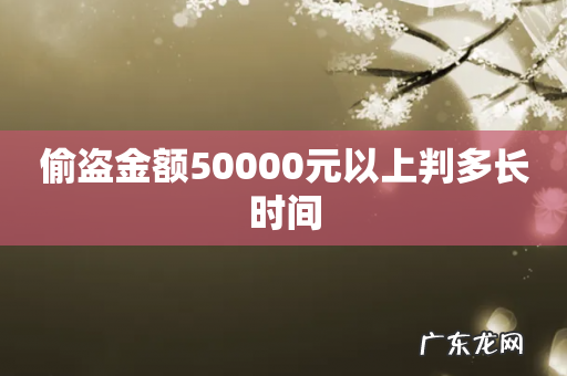 偷盗金额50000元以上判多长时间
