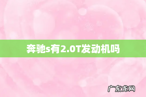 奔驰s有2.0T发动机吗