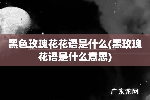 黑玫瑰花语是什么意思 黑色玫瑰花花语是什么