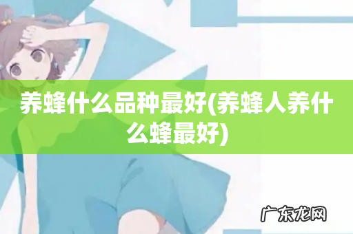 养蜂人养什么蜂最好 养蜂什么品种最好