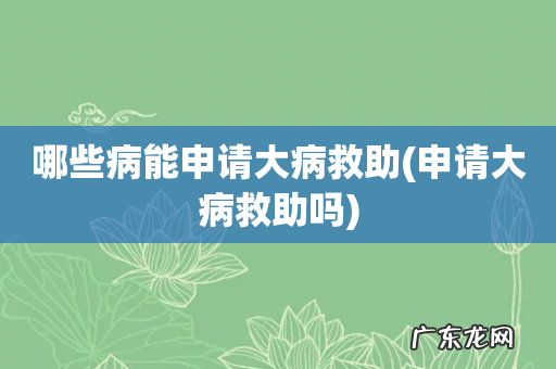 申请大病救助吗 哪些病能申请大病救助