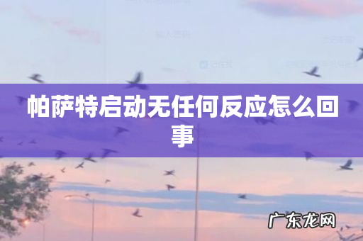 帕萨特启动无任何反应怎么回事