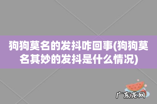 狗狗莫名其妙的发抖是什么情况 狗狗莫名的发抖咋回事