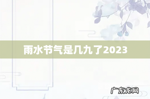 雨水节气是几九了2023
