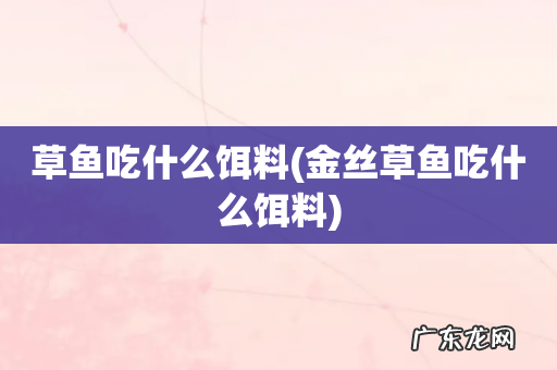 金丝草鱼吃什么饵料 草鱼吃什么饵料