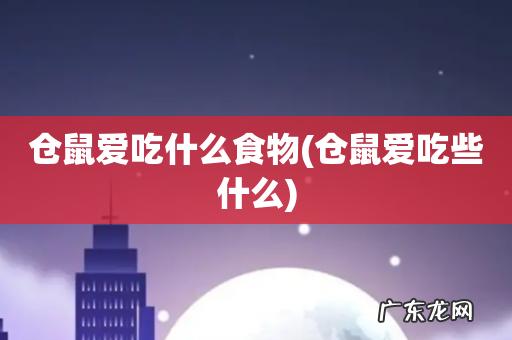 仓鼠爱吃些什么 仓鼠爱吃什么食物