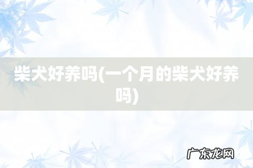 一个月的柴犬好养吗 柴犬好养吗