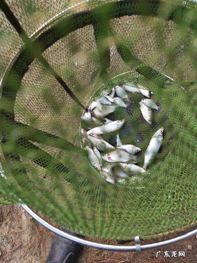 青山水库图片 东风水库图片