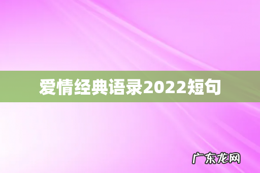 爱情经典语录2022短句