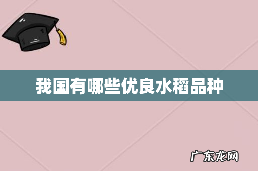 我国有哪些优良水稻品种