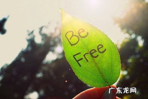 心理调节的方法有哪些 心理调节的方法