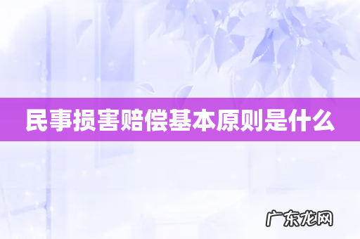 民事损害赔偿基本原则是什么